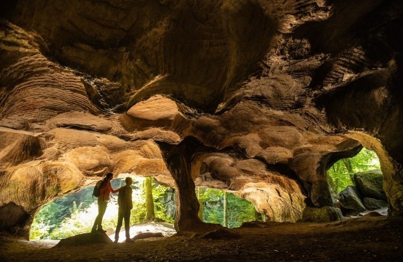 Insider tips for the area